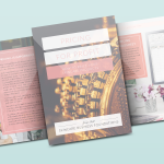 Mockup of the PDF e-book titled 'Pricing for Profit' by Skincare Business Foundations, showcasing design by Startled Squid Design Group. Shows three pages of the PDF including cover with antique gold cash register image overlaid with pink rectangles with white heading text.